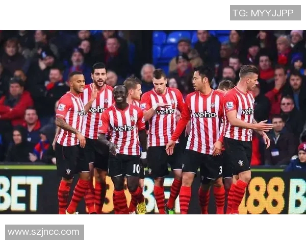 拉科鲁尼亚与塞尔塔对决分析谁在西甲中更具实力与优势